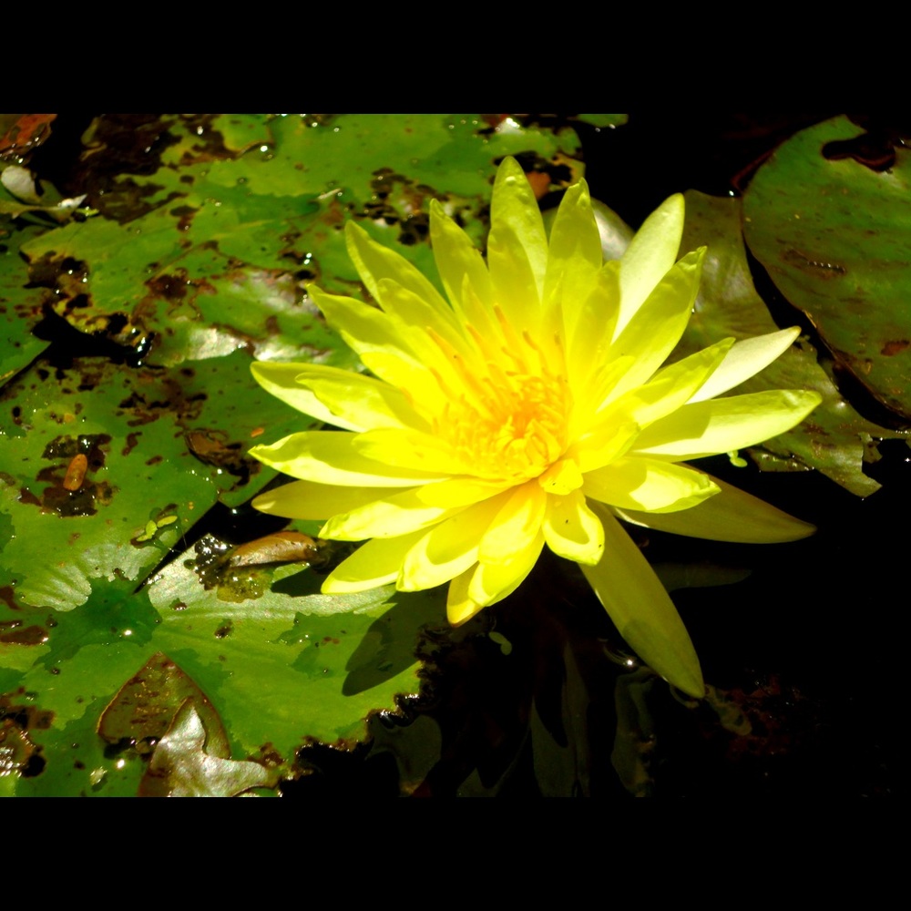 Meet your Posher, Trang